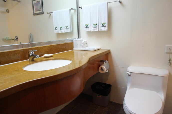 Imagen de la habitación del Hotel Yihe Ouzhuang. Foto 3