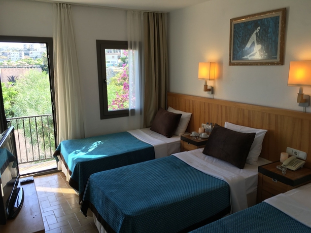 Imagen de la habitación del Hotel Yildiz. Foto 6