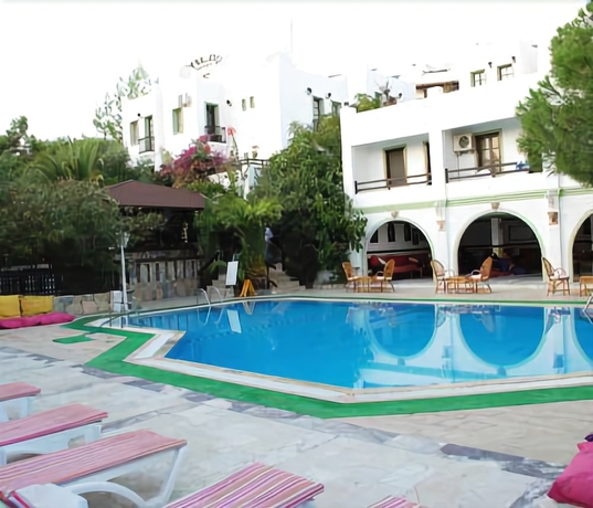 Imagen de la piscina del Hotel Yildiz. Foto 16