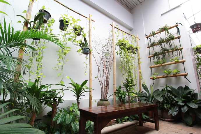 Imagen de los exteriores del Hotel Ymca International, Chiang Mai. Foto 11