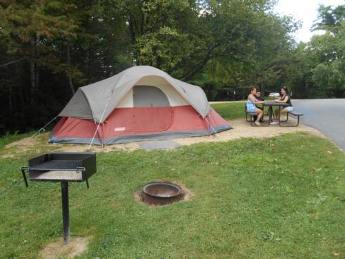 Imagen de la habitación del Hotel Yogi Bear's Jellystone Park Camp-resort Wisconsin Dells. Foto 5