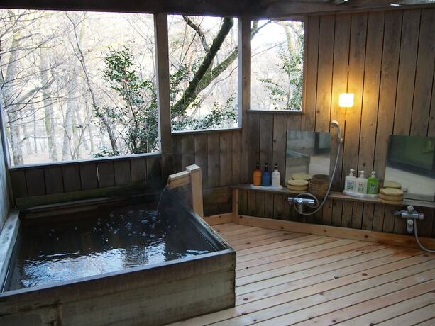 Imagen general del Hotel Yokotei. Foto 2