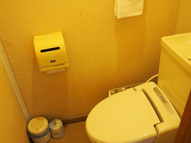 Imagen general del Hotel Yokotei. Foto 4