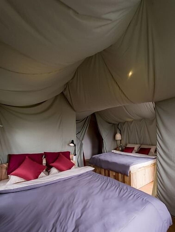 Imagen de la habitación del Hotel Yolo Camping House - Hostel. Foto 2