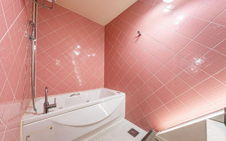 Imagen general del Hotel Yongin Yangji Sangria. Foto 4