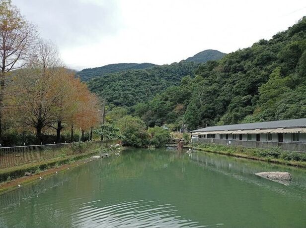 Imagen general del Hotel Yongle Ecological Hostel. Foto 1