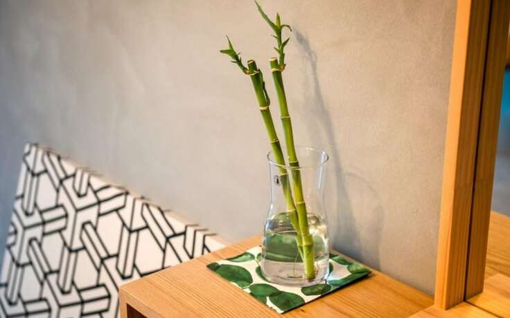 Imagen general del Hotel Yongwol Eco Village Youth Hostel. Foto 2