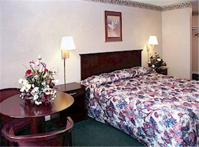 Imagen de la habitación del Hotel Yorktown Motor Lodge. Foto 3