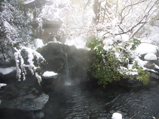 Imagen de la piscina del Hotel Yorozuya, Yamanouchi. Foto 13