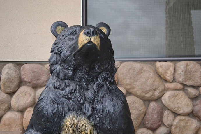 Imagen de los interiores del Hotel Yosemite Southgate and Suites. Foto 13