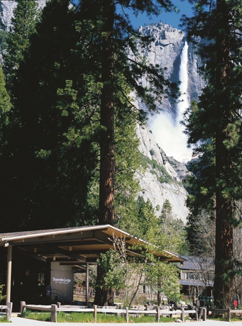 Imagen general del Hotel Yosemite Valley Lodge. Foto 5