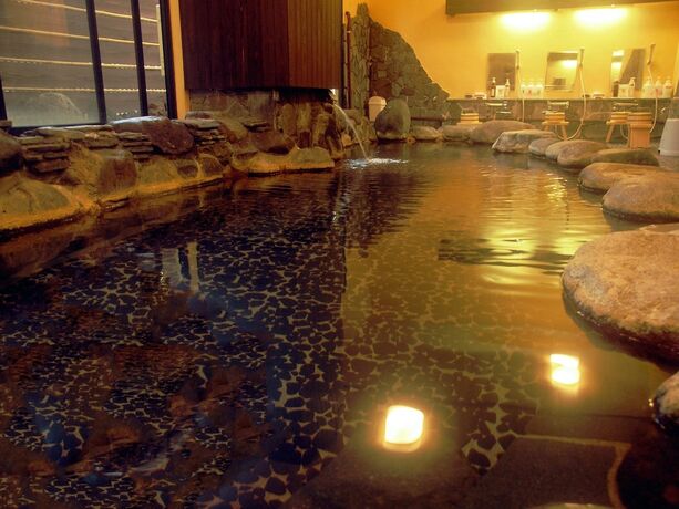 Imagen general del Hotel Yoshino. Foto 12