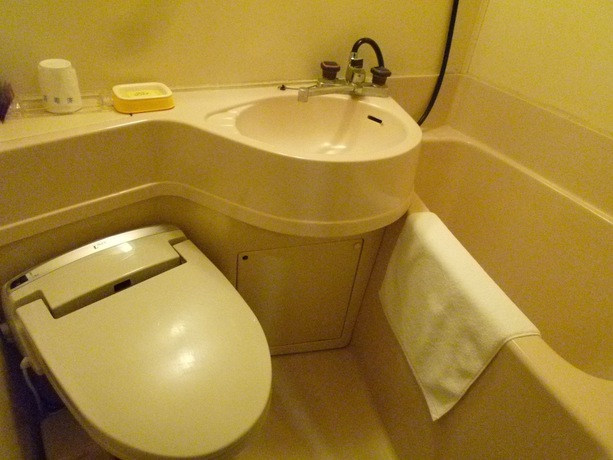 Imagen general del Hotel Yoshino. Foto 13