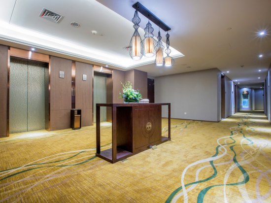 Imagen general del Hotel Youngor Central. Foto 4