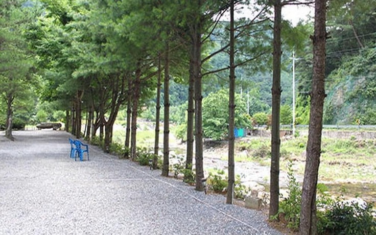 Imagen de la habitación del Hotel Youngwol Sky Pension Camping. Foto 12