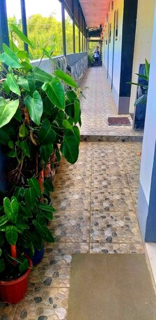 Imagen general del Hotel Ysraela Lodging House - Sabang. Foto 7