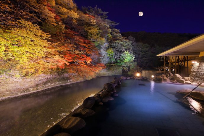 Imagen de la piscina del Hotel Yu No Mori Shidotaira. Foto 18
