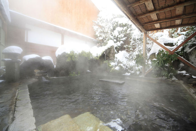 Imagen general del Hotel Yudanaka Seifuso. Foto 2