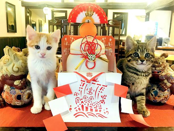 Imagen de los interiores del Hotel Yufuin Lamp No Yado. Foto 9