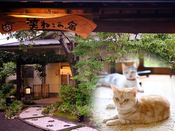 Imagen general del Hotel Yufuin Waraneko No Yado. Foto 1