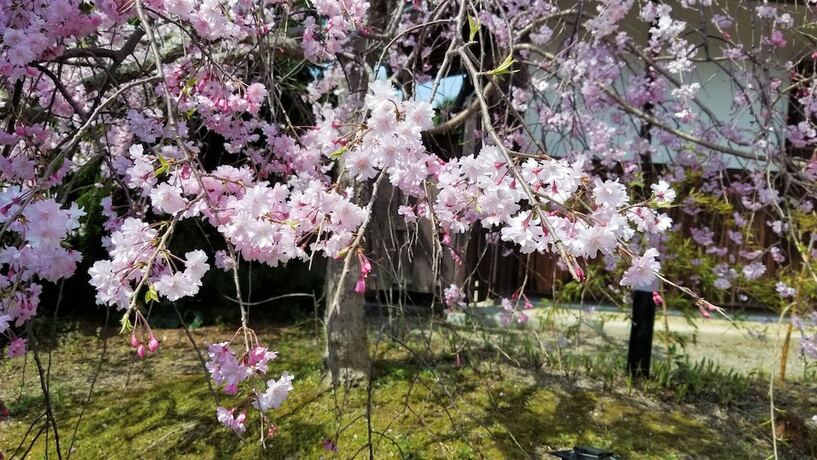 Imagen general del Hotel Yuhigaura Onsen Konoya. Foto 11