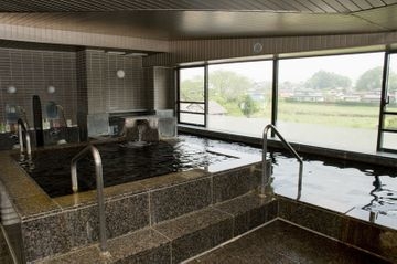 Imagen general del Hotel Yukemuri Fuji no Yado Oike Hotel. Foto 15