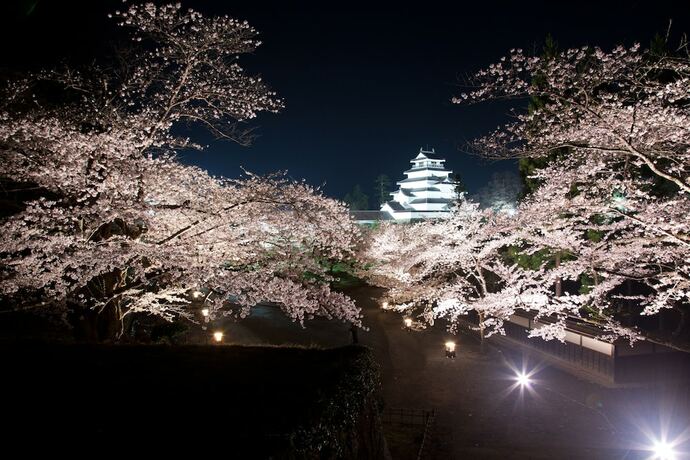 Imagen general del Hotel Yukkura Inn. Foto 8