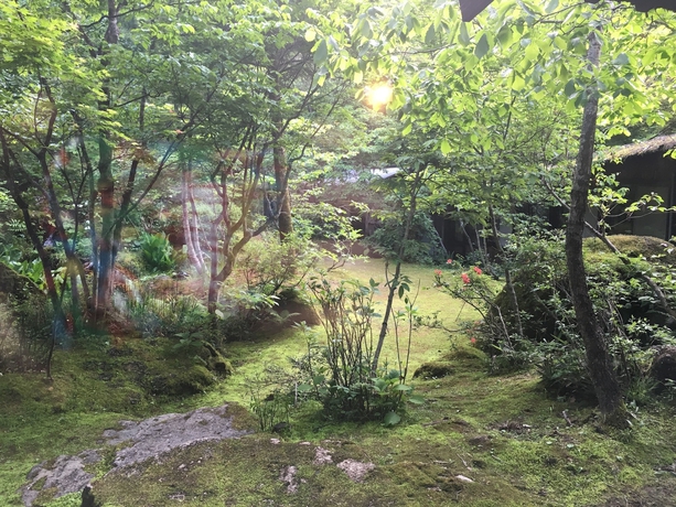 Imagen de la habitación del Hotel Yumoto Chouza. Foto 12