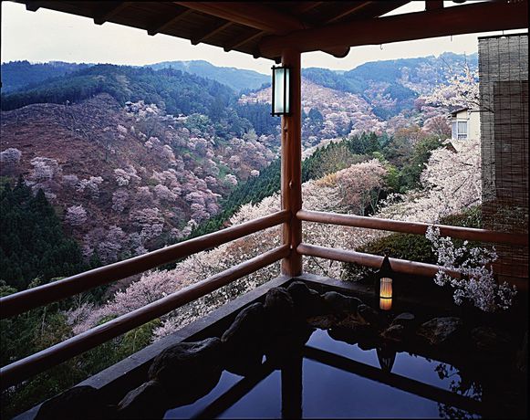 Imagen de los interiores del Hotel Yumoto Hounoya. Foto 7