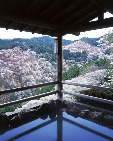 Imagen de la piscina del Hotel Yumoto Hounoya. Foto 16