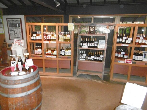 Imagen general del Hotel Yumoto Kobayashi. Foto 7