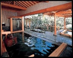 Imagen general del Hotel Yumoto Kompira Onsen Hananoyu Koubaitei. Foto 7