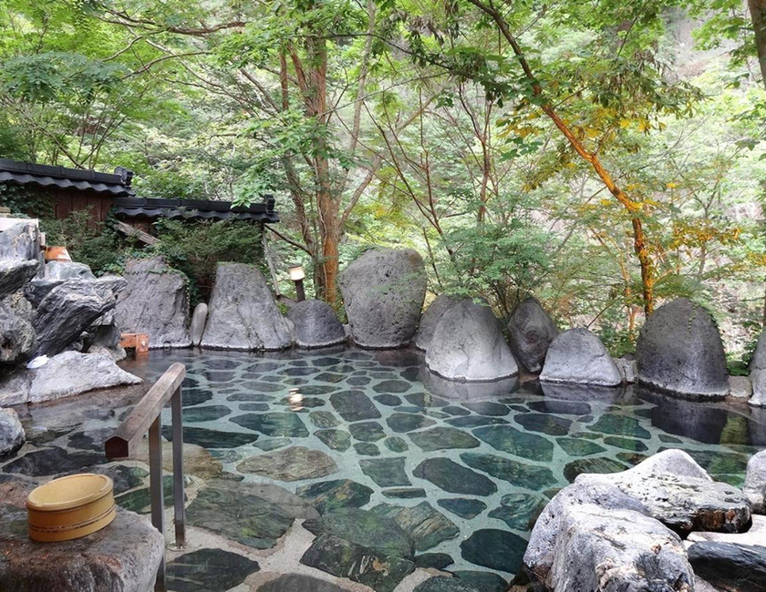 Imagen general del Hotel Yunishigawa. Foto 1