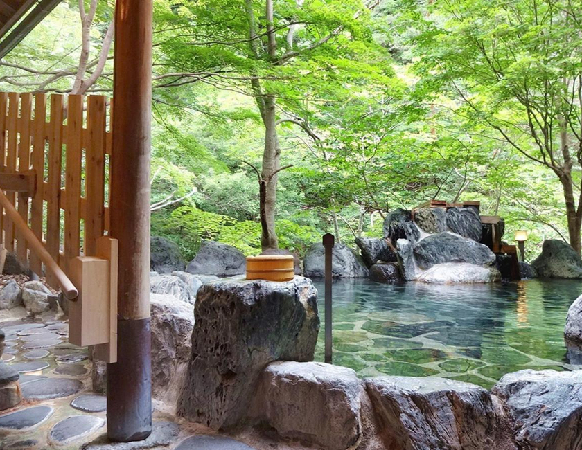 Imagen general del Hotel Yunishigawa. Foto 3