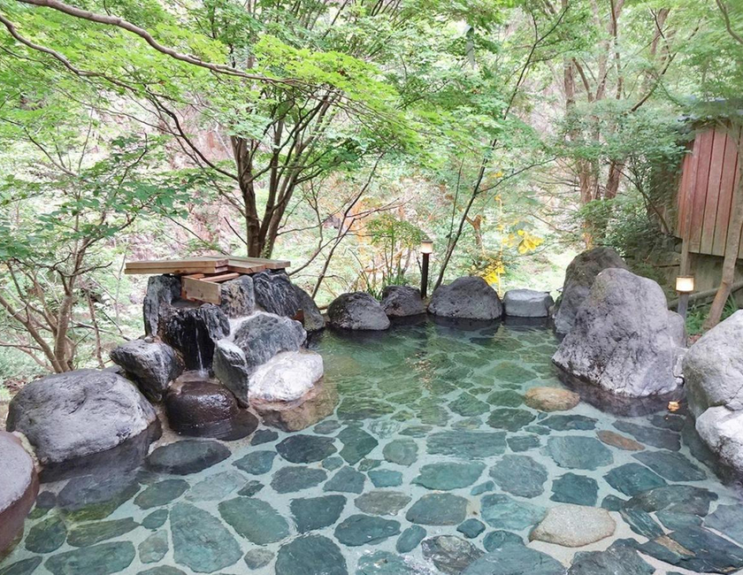 Imagen general del Hotel Yunishigawa. Foto 22