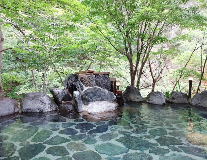 Imagen general del Hotel Yunishigawa. Foto 23