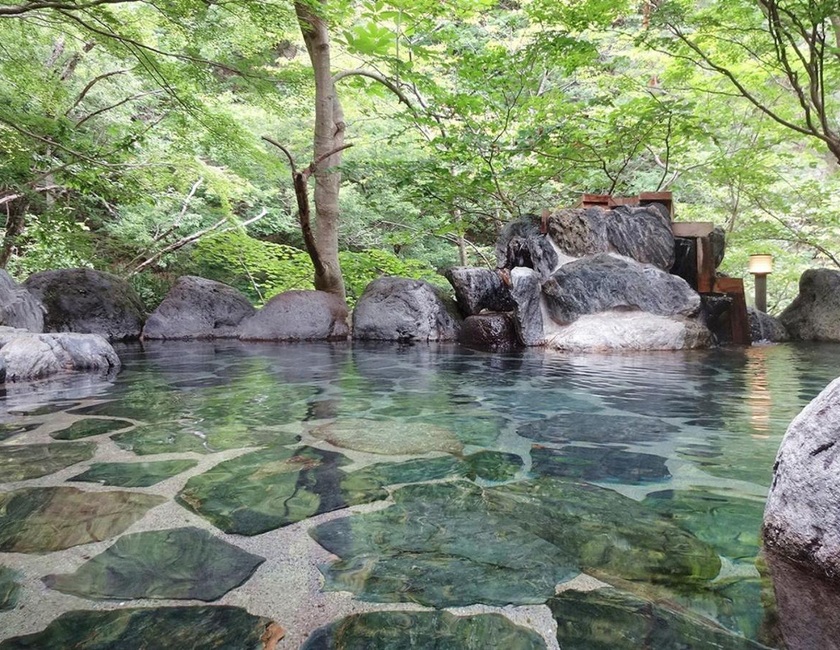 Imagen general del Hotel Yunishigawa. Foto 24