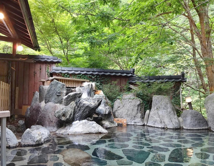 Imagen general del Hotel Yunishigawa. Foto 25