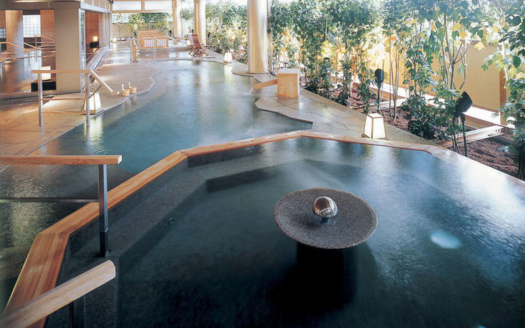 Imagen de la piscina del Hotel Yunokuni Tensyo. Foto 16