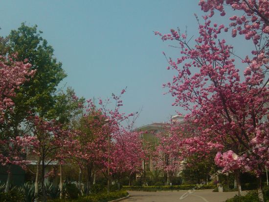 Imagen general del Hotel Yuntian Garden Hotel. Foto 12