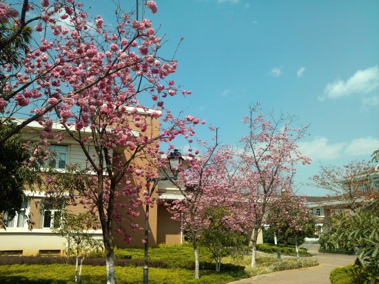 Imagen general del Hotel Yuntian Garden Hotel. Foto 13