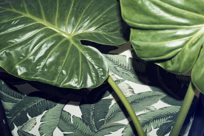 Imagen de los interiores del Hotel Yup Hotel - Different Hotels. Foto 9