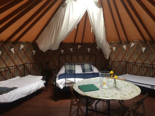 Imagen de la habitación del Hotel Yurtcamp Devon. Foto 12