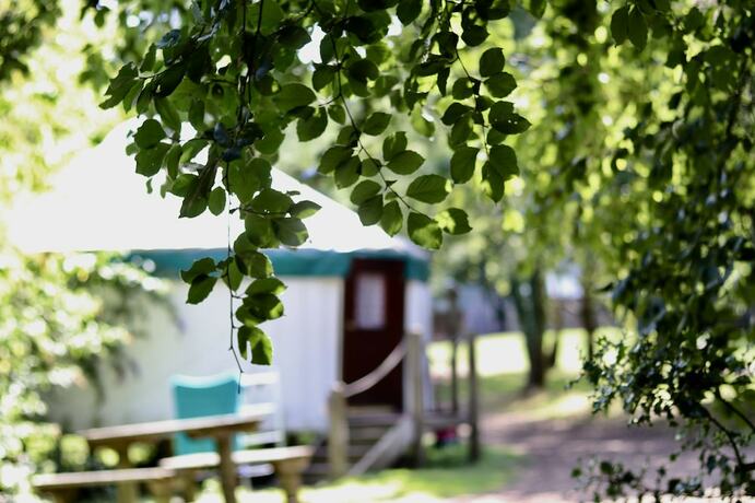 Imagen de la habitación del Hotel Yurtcamp Devon. Foto 13