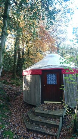 Imagen de la habitación del Hotel Yurtcamp Devon. Foto 17