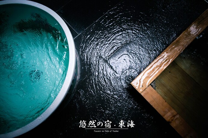 Imagen de la piscina del Hotel Yuuzen No Yado Toukai. Foto 30