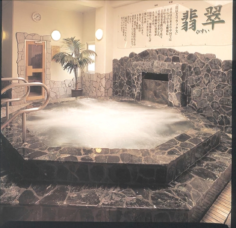 Imagen de la piscina del Hotel Yuzawa New Otani. Foto 13
