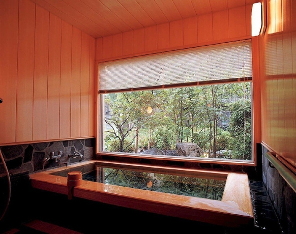 Imagen de los interiores del Hotel Yuzawa New Otani. Foto 11