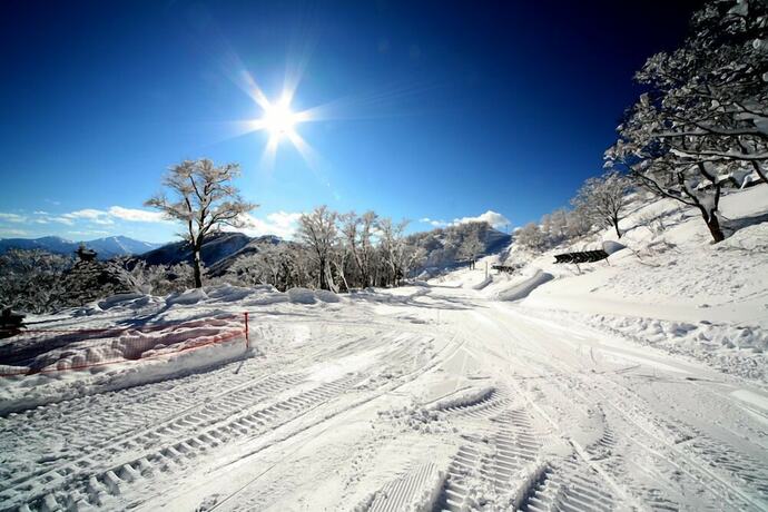 Imagen general del Hotel Yuzawa Ski House. Foto 4