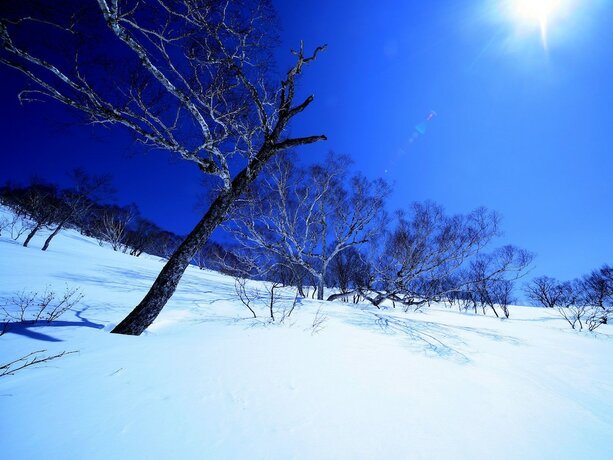 Imagen general del Hotel Yuzawa Ski House. Foto 5